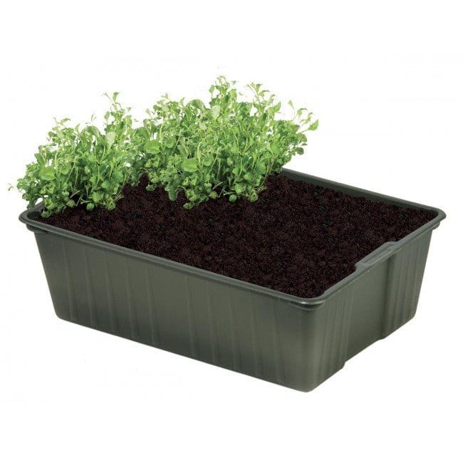 Såbakker, mini - biobaseret 5 stk. - Blomsterverden